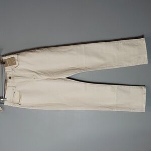 Madewell The Curvy '90s Straight Jean in Vintage Canvas NWT 30 Tall